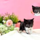 씨사이드모텔2 이미지