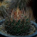 성호농장2 이미지