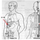 정상갈비 이미지