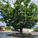 도리 마을회관 이미지