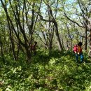 한강농원 이미지