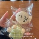 벌쓰데이마카롱 | 전포디저트카페 벌쓰데이마카롱 부산마카롱맛집 내돈내산후기