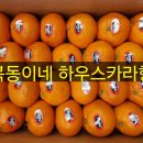 현대과일상회