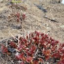 기운농장 이미지