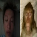 르네시떼시장 | 사천짜파게티를 찾아서