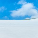 송이목장 이미지