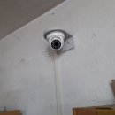 중부농약종묘사 네이버블로그