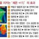 미건테라피