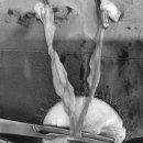 아랑동물병원 이미지