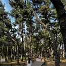 버드휴게소 | 5살 아이와 경주 2박 3일 여행코스 추천, 버드파크와 불국사 후기