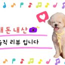 드림락볼링장