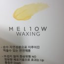 멜로우브로우&왁싱