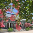 불교, 마음과 치유의 기록들 | 비우고 또 나를 채웠던 순천 여행! 선암사와 송광사 이야기 (한국의 아름다운 사찰. 치유순천 여행후기)