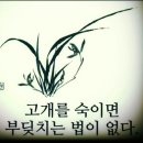내가 베픈 친절은 반드시 돌아온다 이미지
