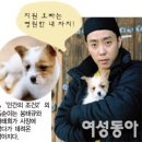 전성
