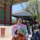 소풍A Daum카페