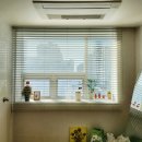 롯데프라자 이미지