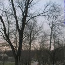 아름드리 목장 이미지