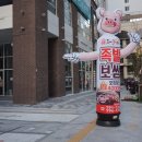 도야족발미사 - 하남시 미사강변중앙로204번길 11 | 도야족발미사