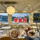 현대애견 | [포천 카페] 애견동반가능한 테라스에 분위기 너무 좋은 분위기 값하는 카페 : 부용원