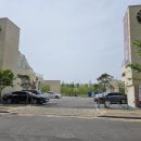 섬댕 강아지 미용실 이미지