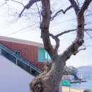 선창마을 이미지