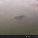 백학지 옆 이미지