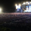 2024 과천공연예술축제 이미지