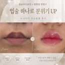 광천통뒤 - 우 | 보니다미 강남본점에서 강남입술반영구로 말린 입술 탈출, 멀멀탱글립으로 변신한 솔직 후기 💋