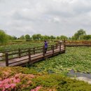 삼락생태공원 이미지