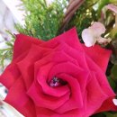 숙미용실 이미지