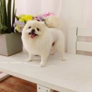 소답동237 이미지