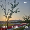 임실치즈골 은주네농장 | 공보의 3개월차