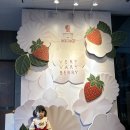 문바이오 | 반얀트리 그라넘 런치 &amp; 문바 분위기 후기 🍷