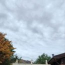 오대산 금빛펜션 이미지