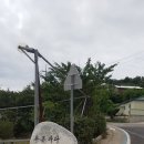 마린한증사우나 Daum카페