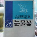 세계 여성의 날에 시인 고정희를 재평가하다 - 이승하 시인 이미지