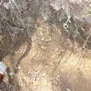 푸른솔 농장 이미지