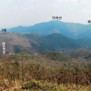 석천농장 이미지