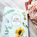 얼리래터 이미지