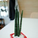 홈베이킹오름