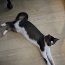 조마루감자탕비래점 이미지