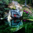 동촌1리 이미지