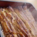 광주 풍천 장어 이미지