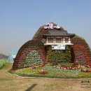 (버스)오성면사무소앞 이미지