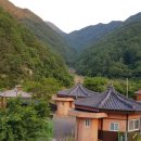 테마파크 펜션 이미지