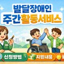 복지공무원이 알려주는 발달장애인 주간활동서비스 신청 안내 및 총정리