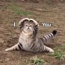 효령로 314 이미지