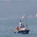 사촌해수욕장야영장 이미지