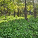 응애농원 이미지